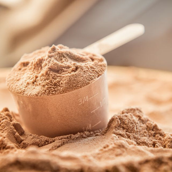 Plant Protein