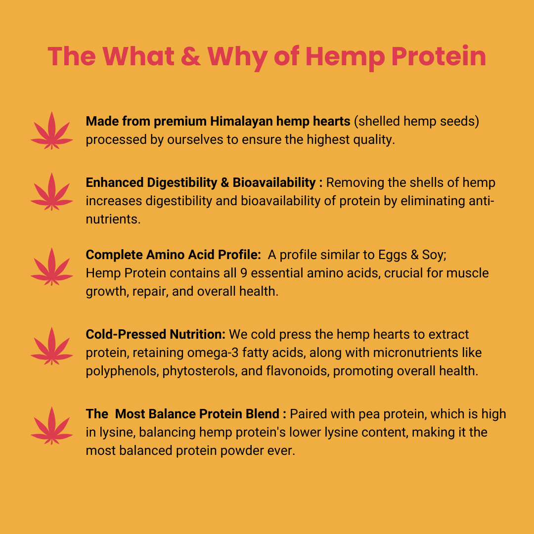 Balanced Plant Protein - Belgian Chocolate (Blend of Hemp & Pea)