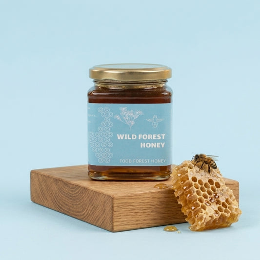 Wild Forest Honey